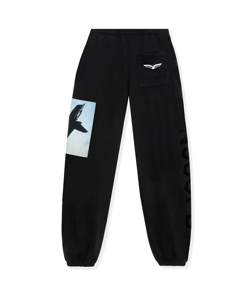 Playboy Aviation Wings N950pb Men's Sweatpants Purple | 142367GOD