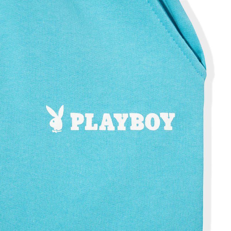 Playboy Logo Boyfriend Women's Shorts Light Blue | 586194WHQ