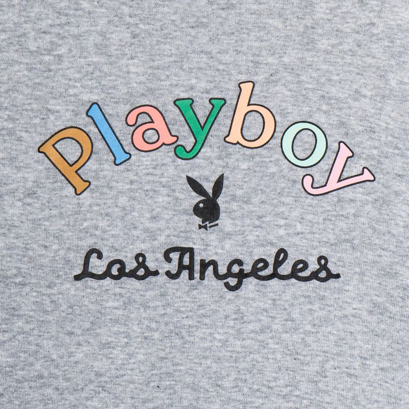 Playboy Rainbow Masthead Long Sleeve Women's Tank Grey | 074953KCT